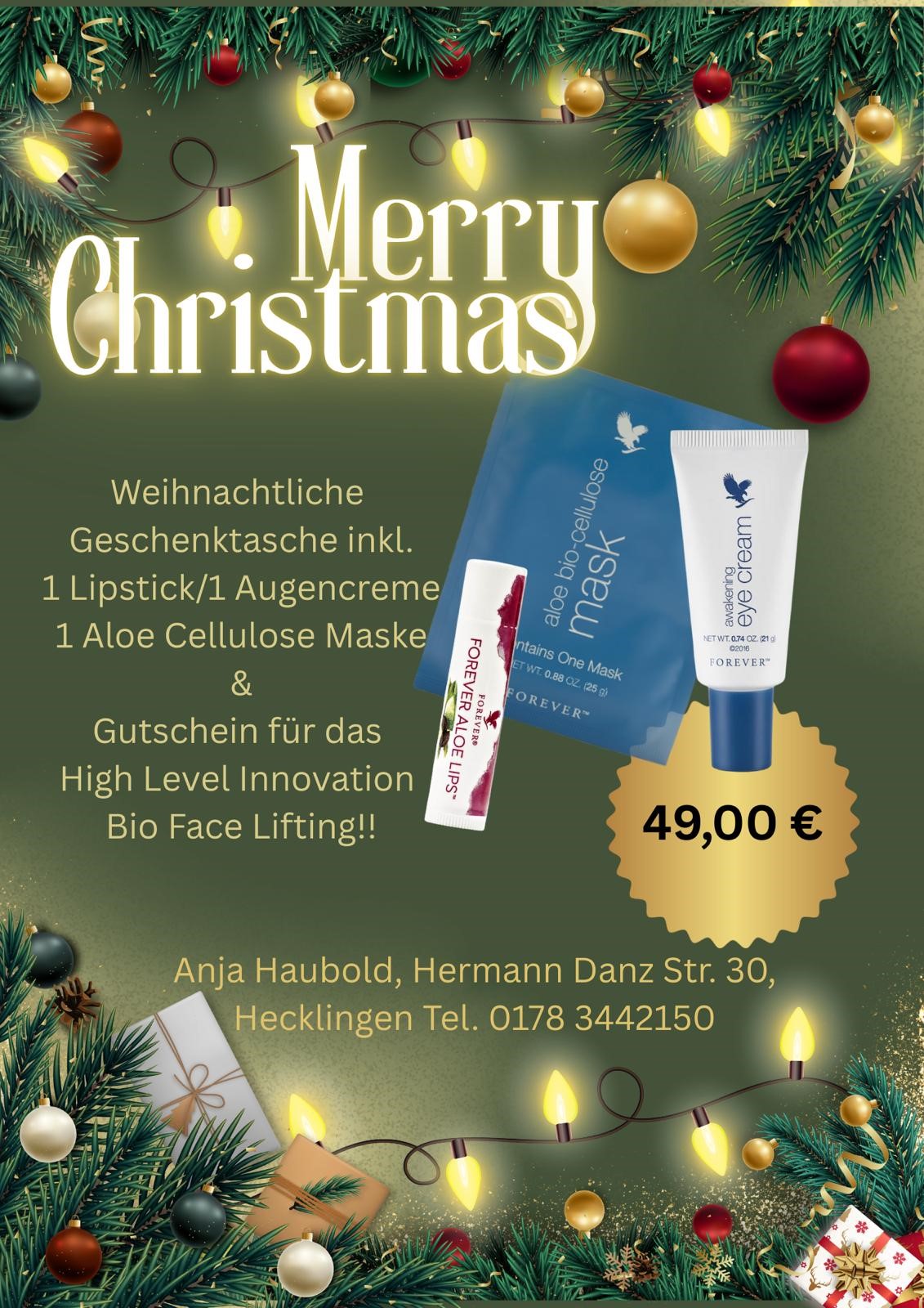 Weihnachtliche Geschenktasche